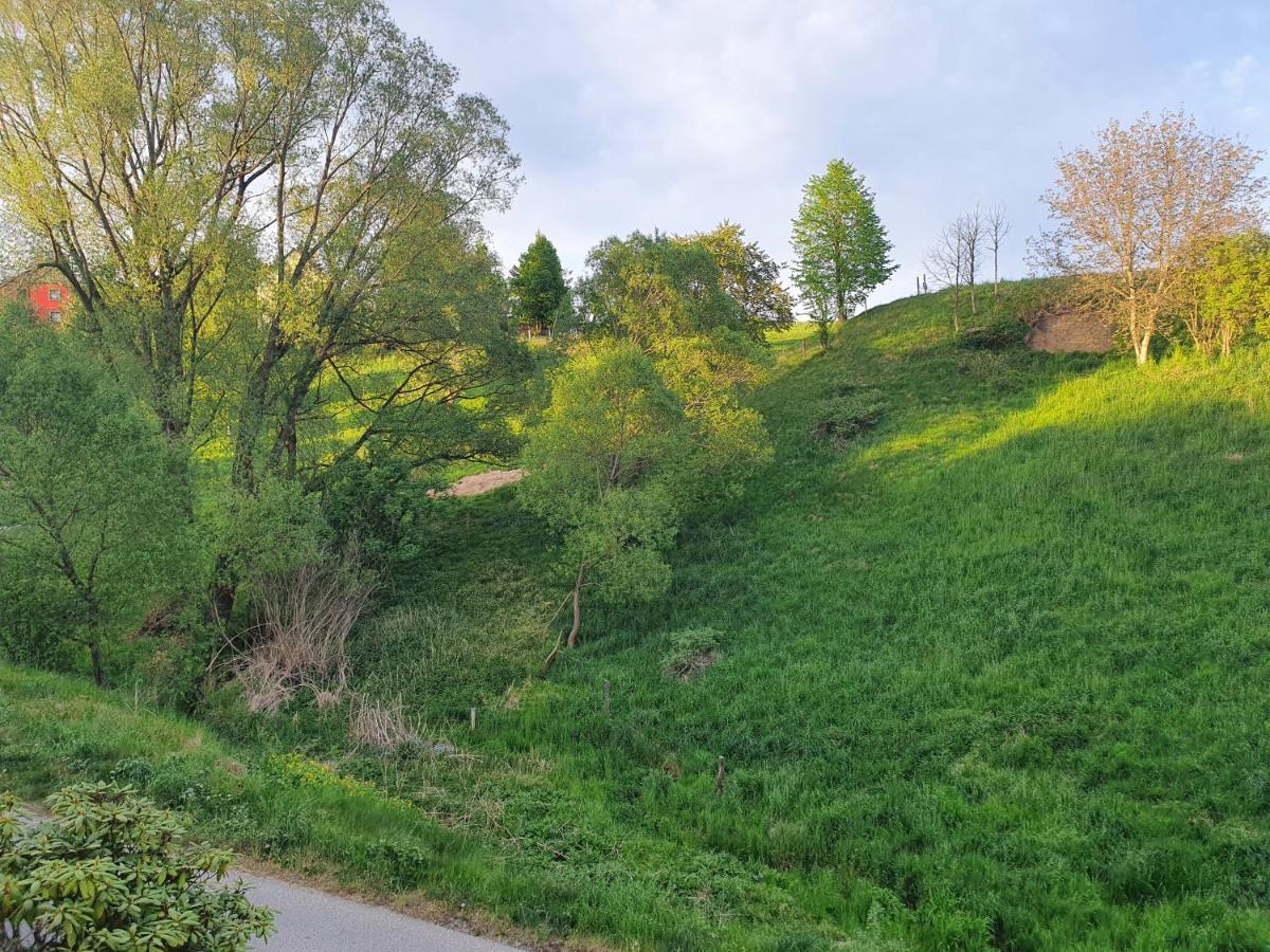 Fewo-Hierundjetzt Lichtenhain Bei Sebnitz Am Malerweg Zewnętrze zdjęcie